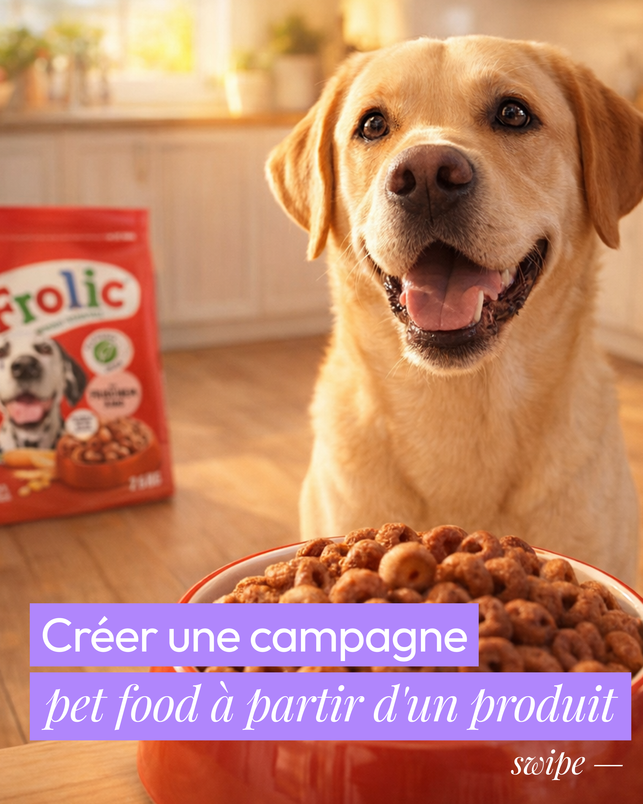 Creer une campagne pet food a partir d'un produit